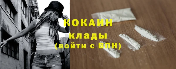 ПСИЛОЦИБИНОВЫЕ ГРИБЫ Балахна