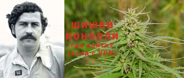 ПСИЛОЦИБИНОВЫЕ ГРИБЫ Балахна